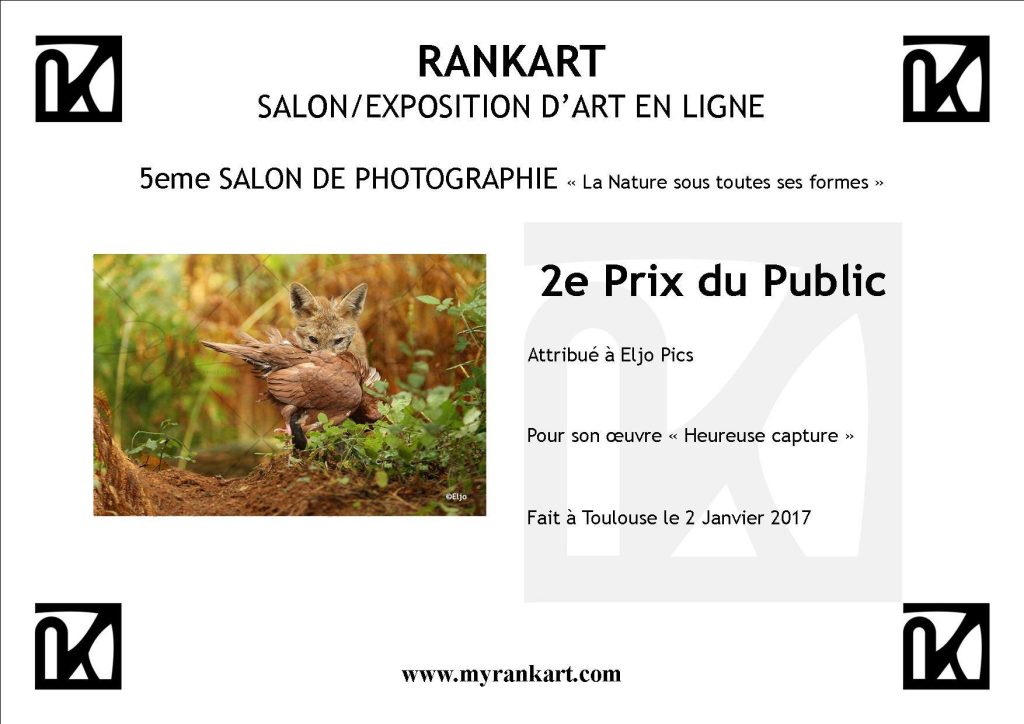 Deuxieme prix du public remporte par Eljo, exposition en ligne, Rankart.