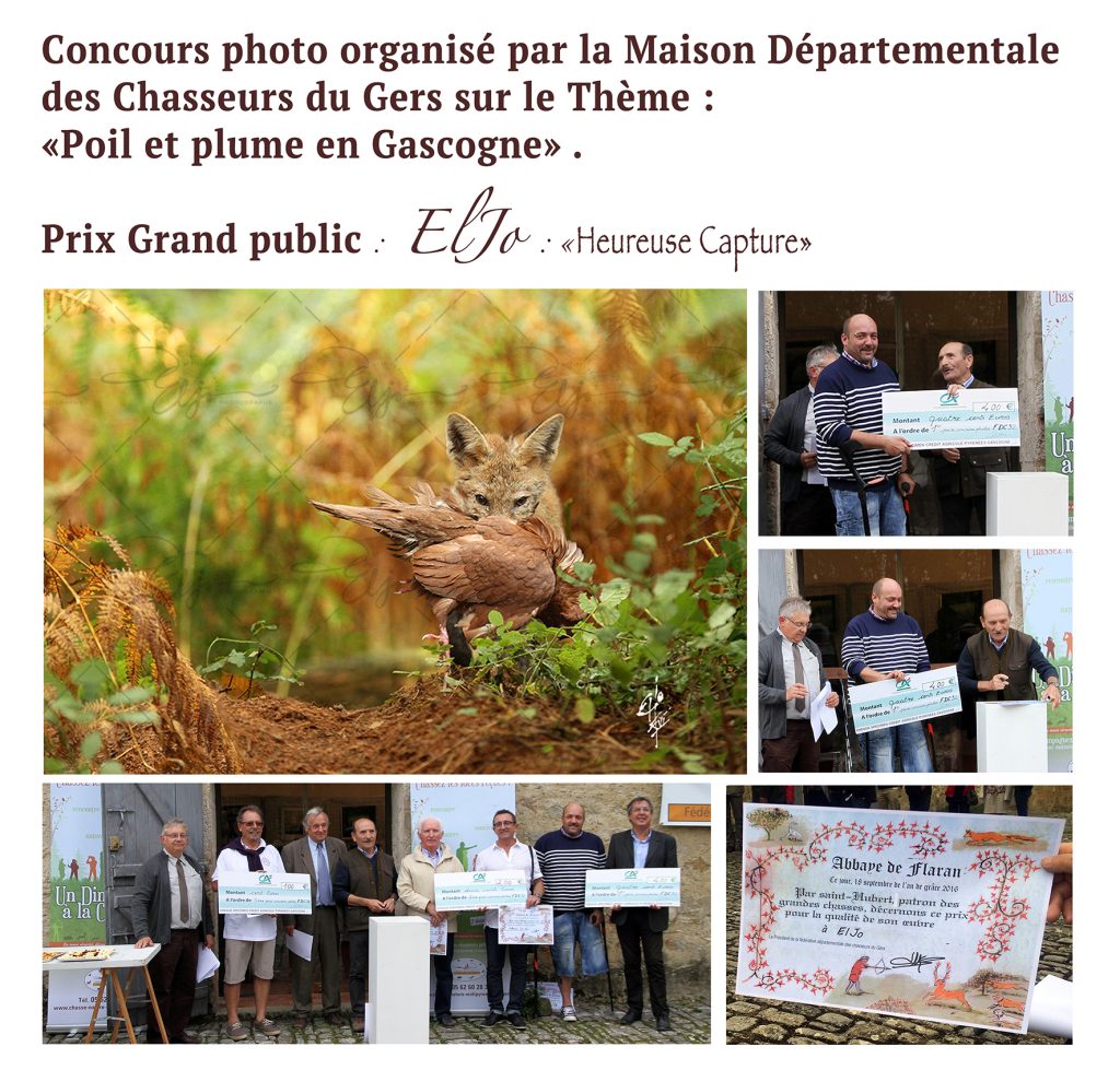 Fête de la chasse à Flaran en 2016, montage photo contenant la photo gagnante du concours par Eljo et photos de groupe.
