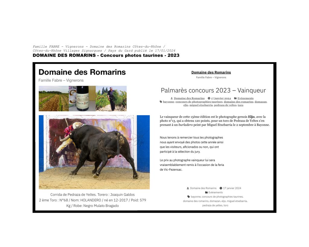 Photo gagnante du concours de photographie taurine 2023, 15ème édition.