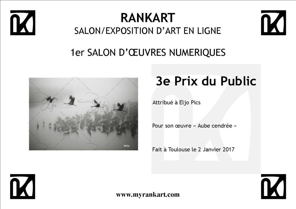 Troisieme prix du public remporte par Eljo, exposition en ligne, Rankart.