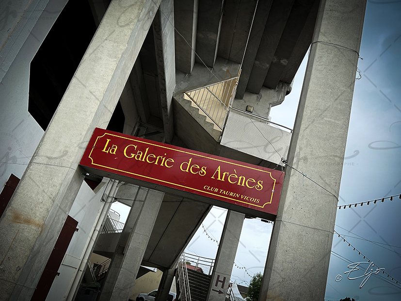 Exposition TAURINE - Photos Peintures
SCULPTURES ©béatice FERNANDO - Photos © ELJO - Tous droits réservés