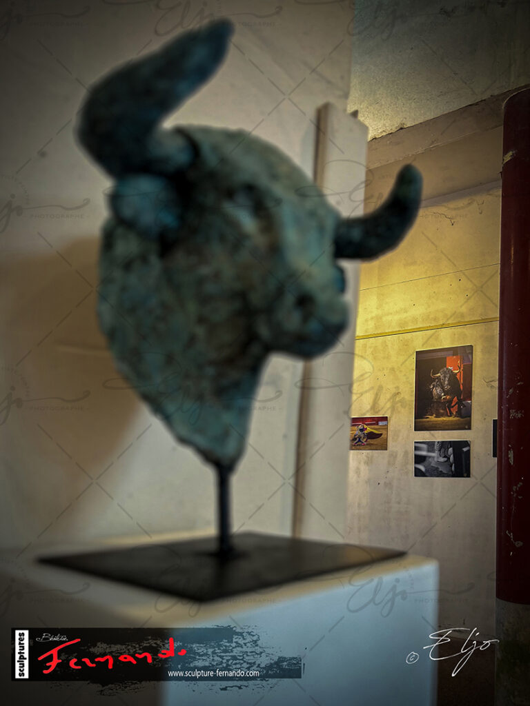 Exposition TAURINE - Photos Peintures
SCULPTURES ©béatice FERNANDO - Photos © ELJO - Tous droits réservés