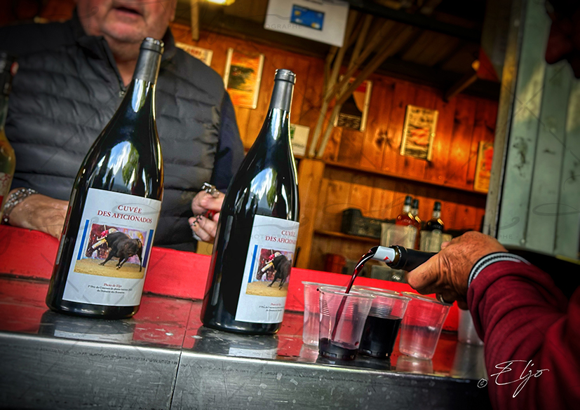 Exposition TAURINE - Photos Peintures
SCULPTURES ©béatice FERNANDO - Photos © ELJO - Tous droits réservés