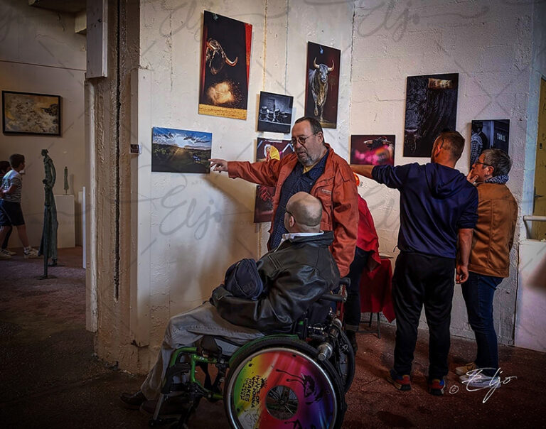 Exposition TAURINE - Photos Peintures SCULPTURES ©béatice FERNANDO - Photos © ELJO - Tous droits réservés