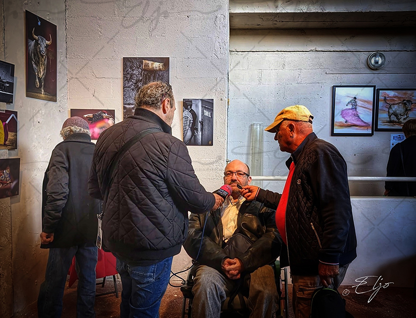 Exposition TAURINE - Photos Peintures
SCULPTURES ©béatice FERNANDO - Photos © ELJO - Tous droits réservés