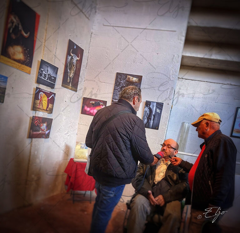 Exposition TAURINE - Photos Peintures SCULPTURES ©béatice FERNANDO - Photos © ELJO - Tous droits réservés