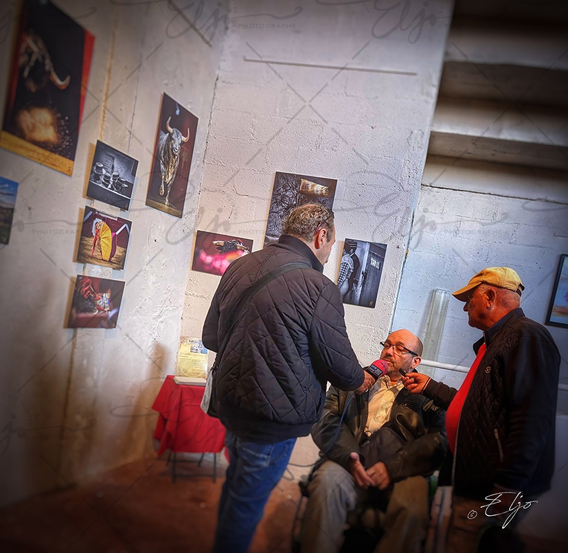 Exposition TAURINE - Photos Peintures
SCULPTURES ©béatice FERNANDO - Photos © ELJO - Tous droits réservés