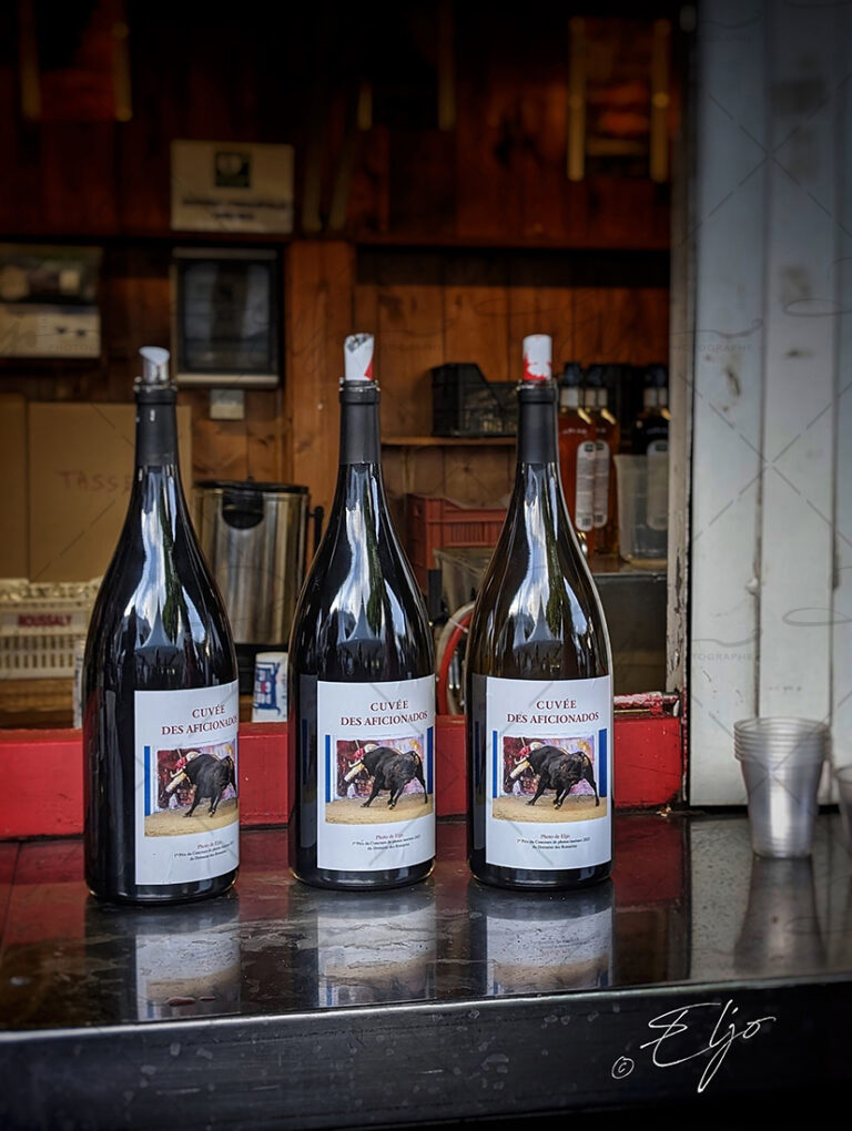 Exposition TAURINE - Photos Peintures SCULPTURES ©béatice FERNANDO - Photos © ELJO - Tous droits réservés