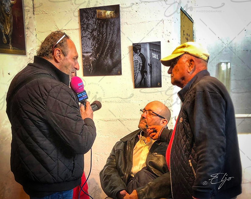 Exposition TAURINE - Photos Peintures
SCULPTURES ©béatice FERNANDO - Photos © ELJO - Tous droits réservés