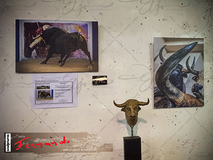 Exposition TAURINE - Photos Peintures
SCULPTURES ©béatice FERNANDO - Photos © ELJO - Tous droits réservés