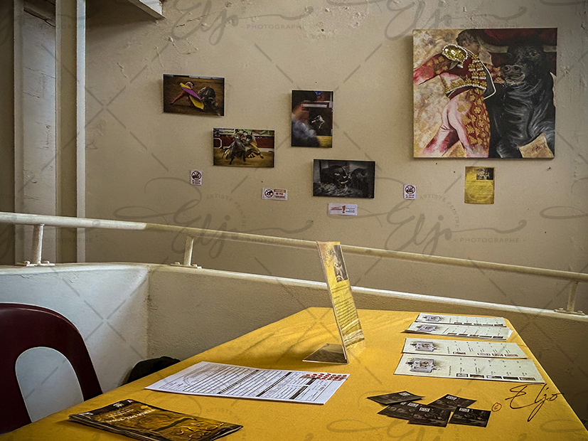 Exposition TAURINE - Photos Peintures
SCULPTURES ©béatice FERNANDO - Photos © ELJO - Tous droits réservés