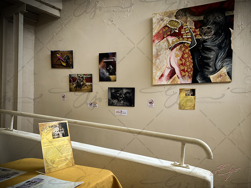 Exposition TAURINE - Photos Peintures
SCULPTURES ©béatice FERNANDO - Photos © ELJO - Tous droits réservés