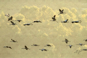 Copie de la photographie "Grues au dessus des airs" réalisée par Eljo, artiste peintre photographe.