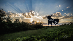 Copie de la photographie "Toros en Vic" réalisée par Eljo, artiste peintre photographe.