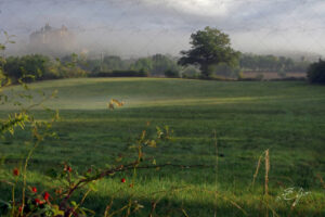 Copie de la photographie "Brume Matinale" réalisée par Eljo, artiste peintre photographe.