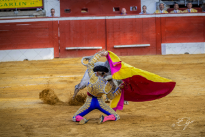 Copie de la photographie "Mouvement de cape" réalisée par Eljo, artiste peintre photographe.