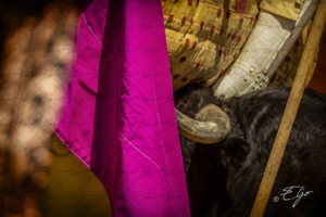 Copie de la photographie "Protagonistes du Détails Taurin" réalisée par Eljo, artiste peintre photographe.