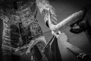 Copie de la photographie "Prémices de la combativité" réalisée par Eljo, artiste peintre photographe.