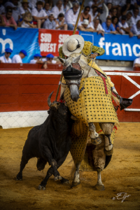 Copie de la photographie "La bravoure du toro face à la « poya » " réalisée par Eljo, artiste peintre photographe.