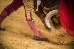 Copie de la photographie "L'antique tradition" réalisée par Eljo, artiste peintre photographe.
