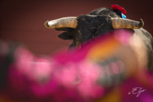 Copie de la photographie "L'artauromachique" réalisée par Eljo, artiste peintre photographe.