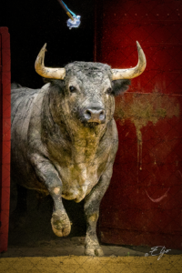 Copie de la photographie "" réalisée par Eljo, artiste peintre photographe.