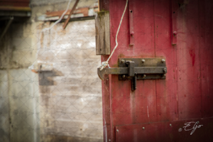 Copie de la photographie "Coulisse de l'arène" réalisée par Eljo, artiste peintre photographe.