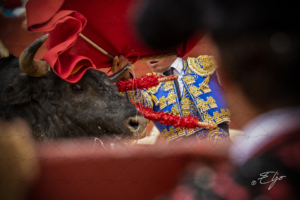 Copie de la photographie "Noblesse de l'Art" réalisée par Eljo, artiste peintre photographe.