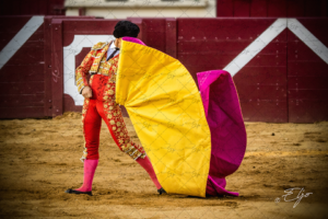 Copie de la photographie "L' ART...ga" réalisée par Eljo, artiste peintre photographe.