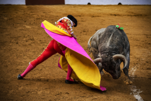 Copie de la photographie "Protagonistes d'un combat" réalisée par Eljo, artiste peintre photographe.