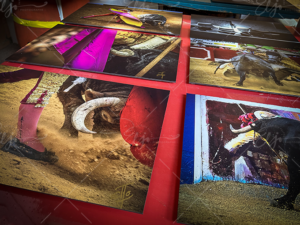 Photo 16-05-2024 10 49 54