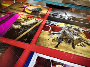 Photo 16-05-2024 10 50 10