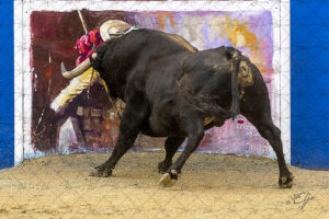 Copie de la photographie "L'art Taurin" réalisée par Eljo, artiste peintre photographe.