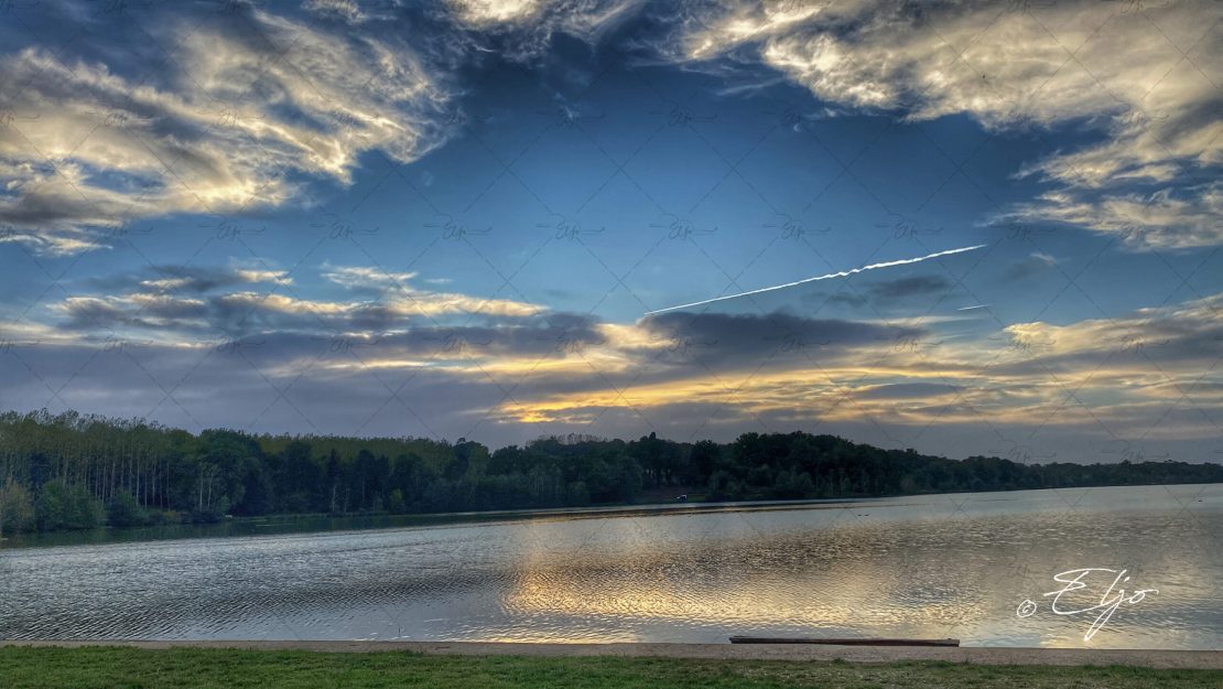 BANDO CAT © ELJO- 6FEC8B14