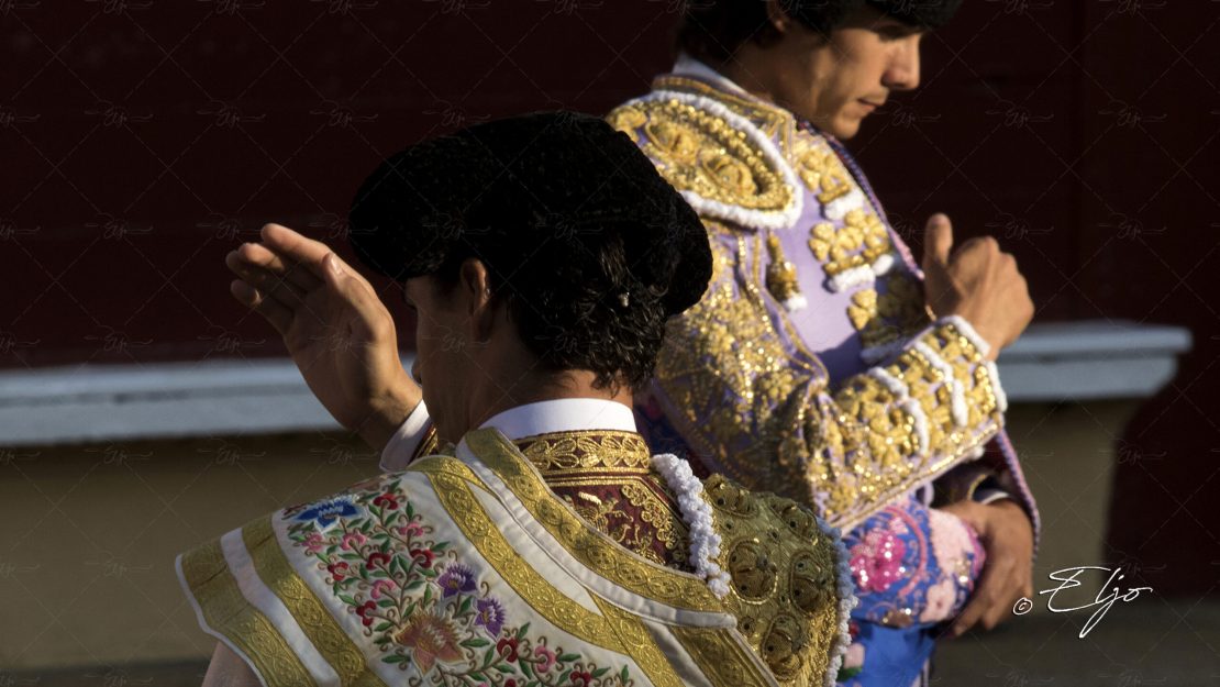 BANDO CAT© ELJO-0N9A4063