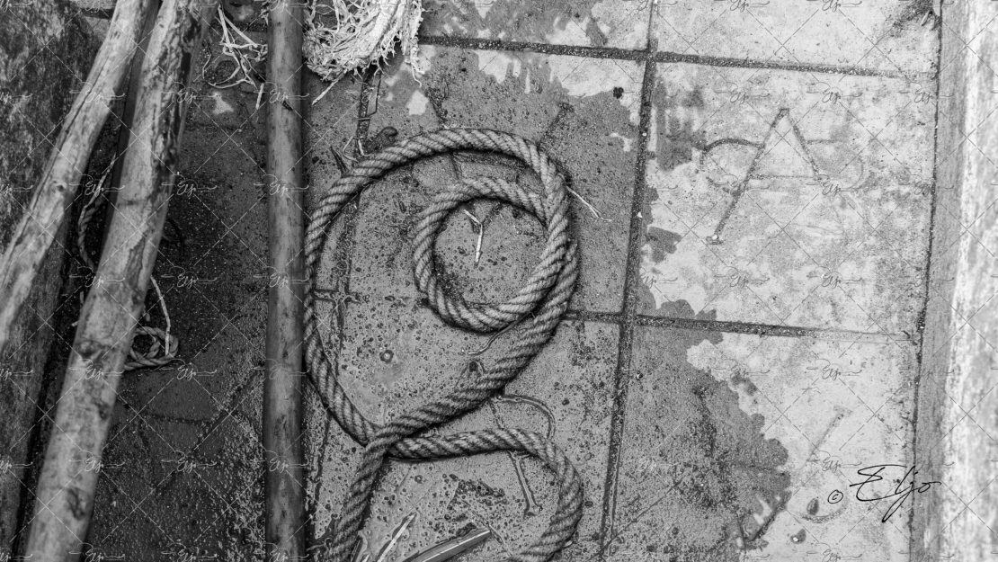 BANDO CAT© ELJO- 673A2047