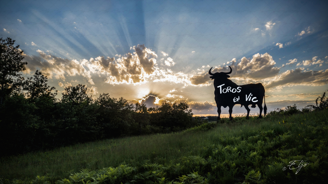 Copie de la photographie "Toros en Vic" réalisée par Eljo, artiste peintre photographe.